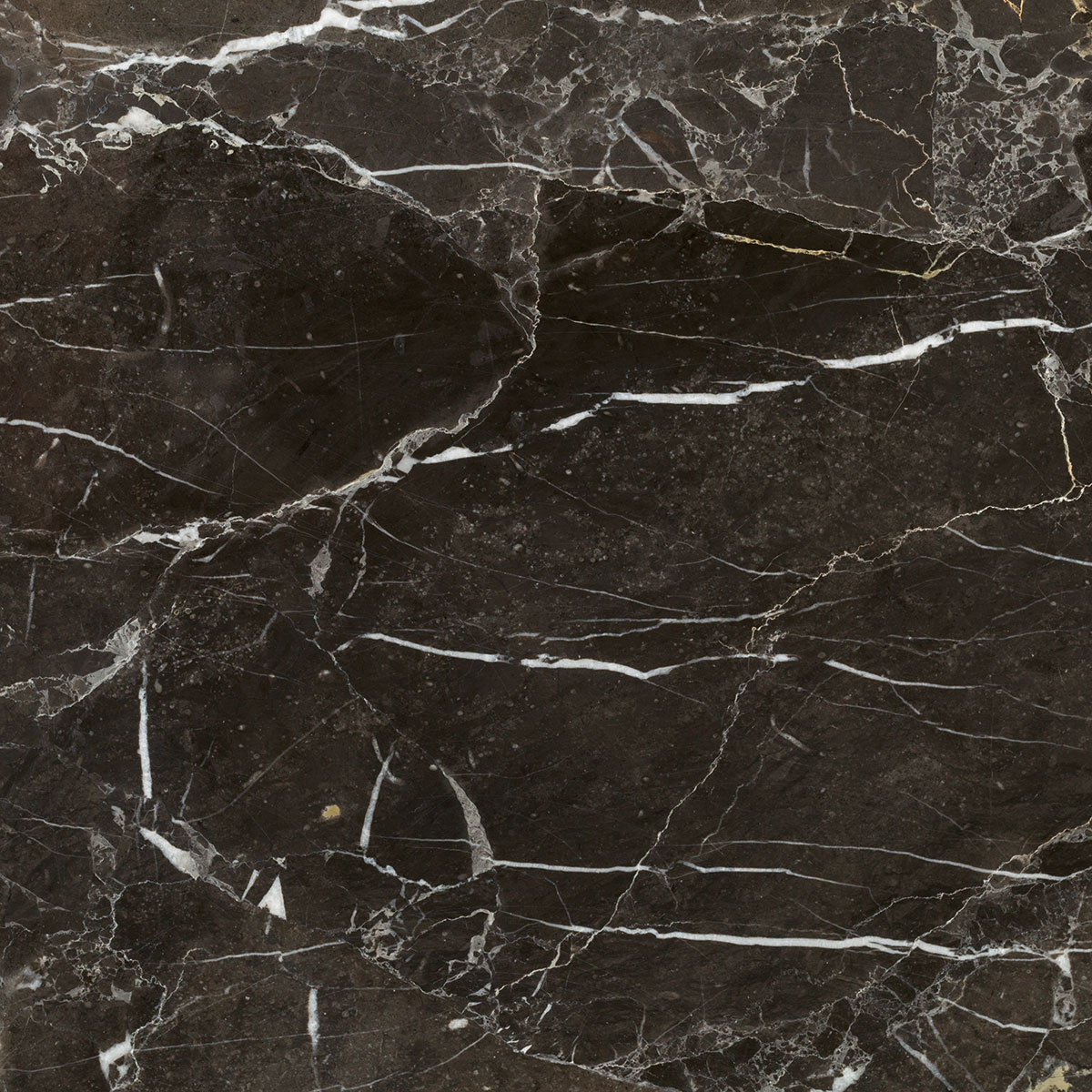 Alnoir Marble