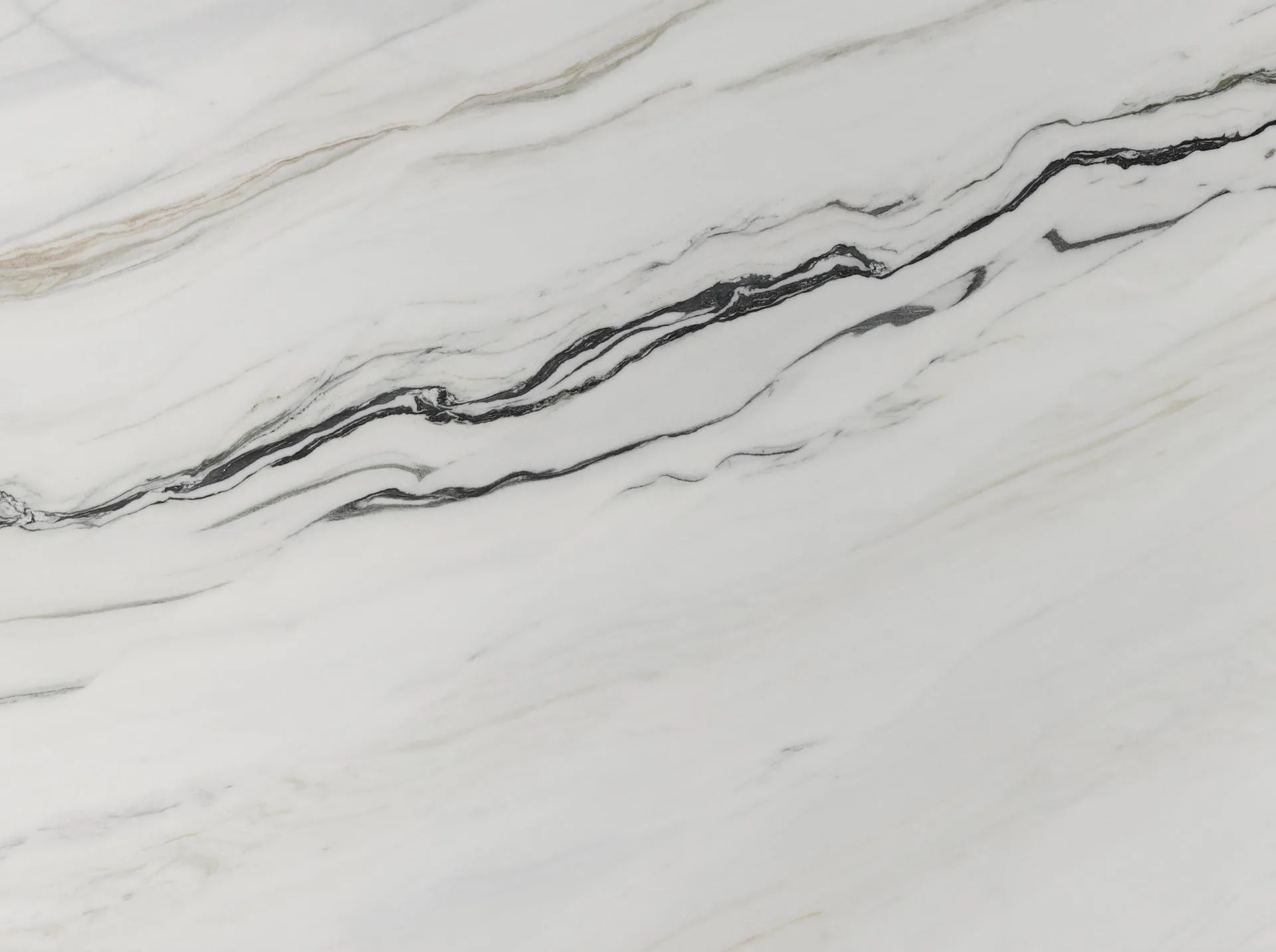 Covelano Macchia Vacchia