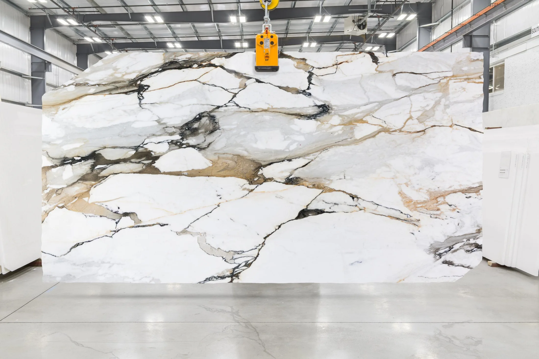 Covelano Macchia Vacchia