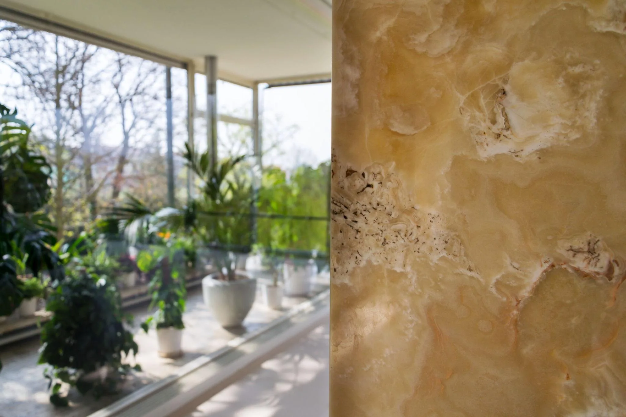 Brown Onyx for Backlit Bars & Lobbies | Turkish Brown Onyx Supplier
