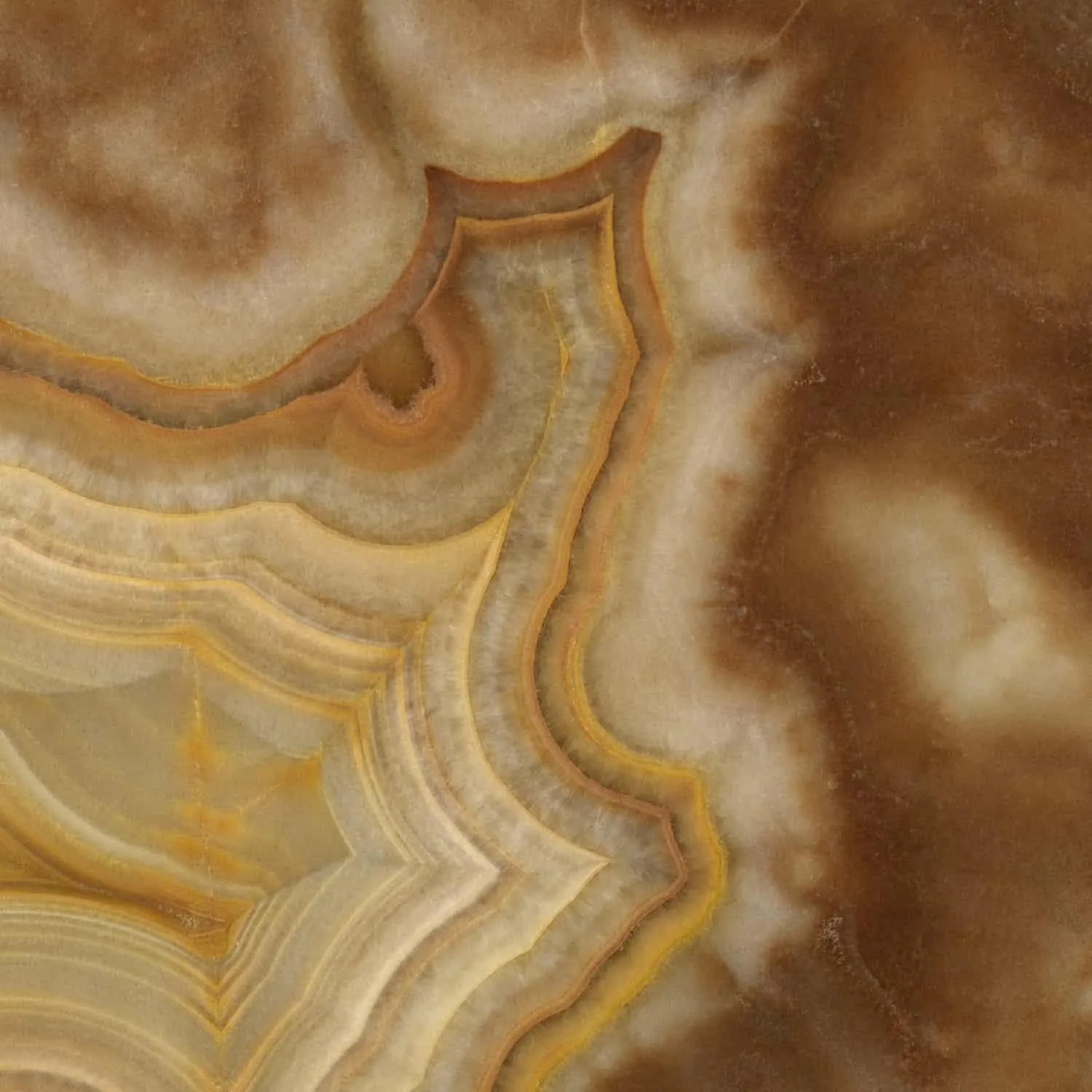 Coca Cola Onyx for Backlit Bar Fronts | Turkish Brown Onyx Supplier