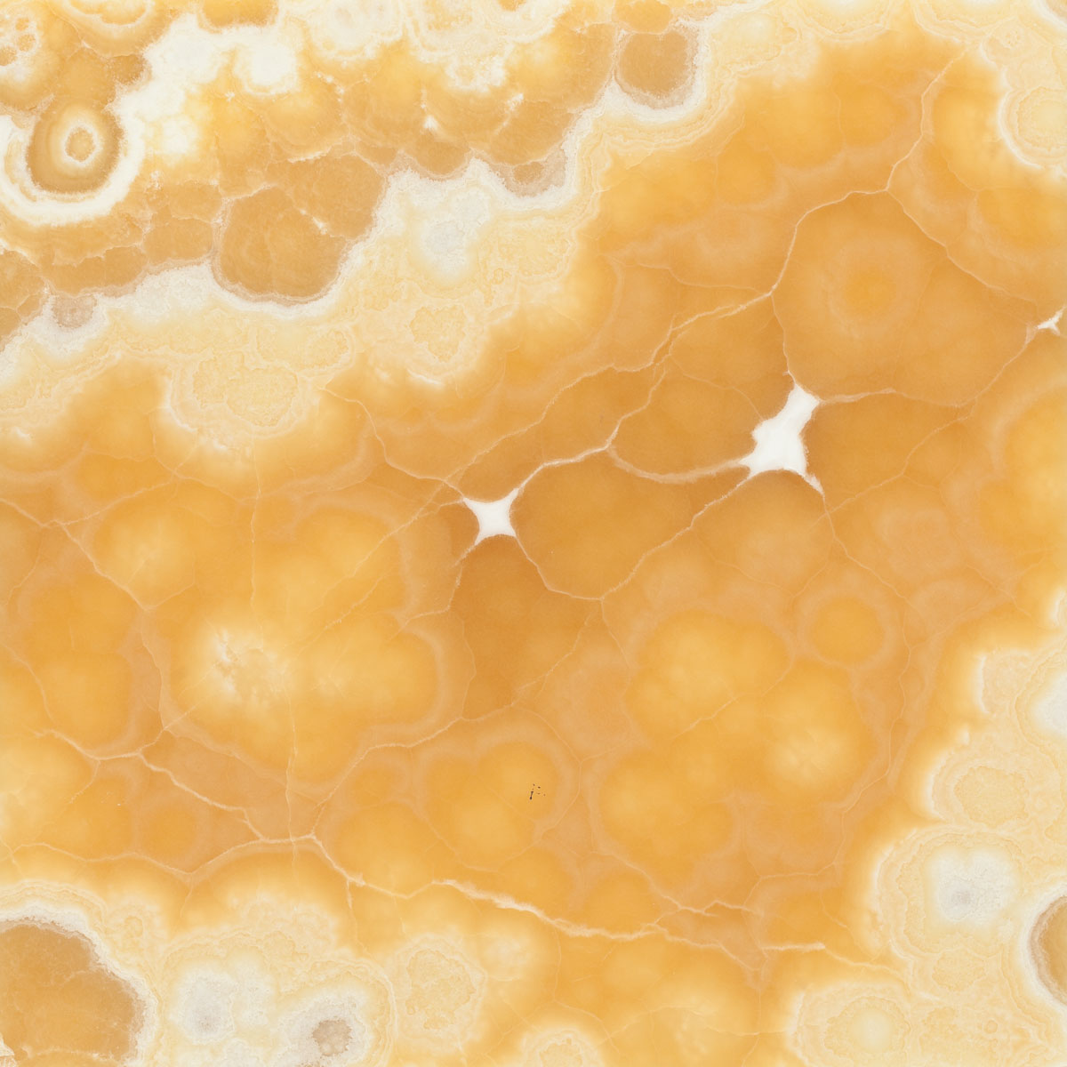 Honey Onyx for Golden Backlit Walls | Turkish Honey Onyx Supplier