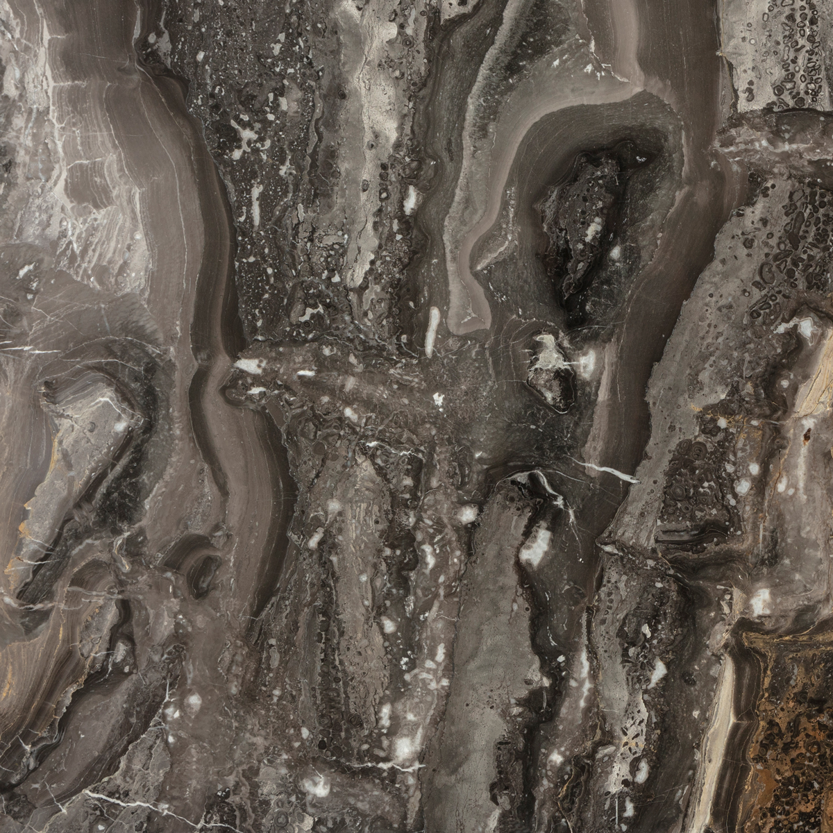 Nero Picasso Marble for Bookmatch Walls | Turkish Black Marble Supplier