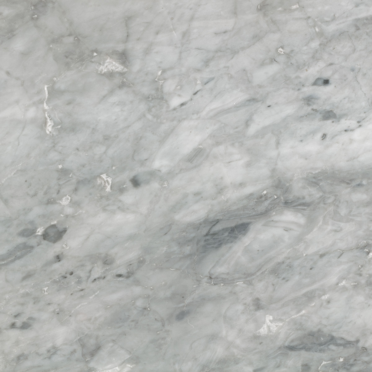 Pantera Grigio Marble for Modern Interiors | Turkish Grey Marble Supplier