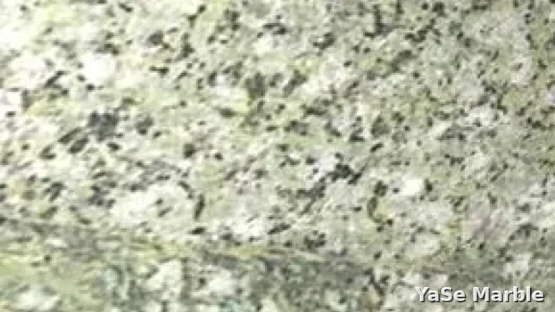 Balaban Green Granite for Floors & Countertops | Turkish Green Granite Supplier